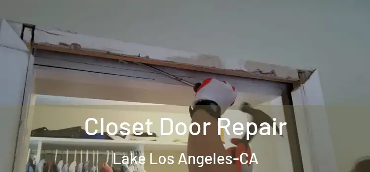 Closet Door Repair Lake Los Angeles-CA