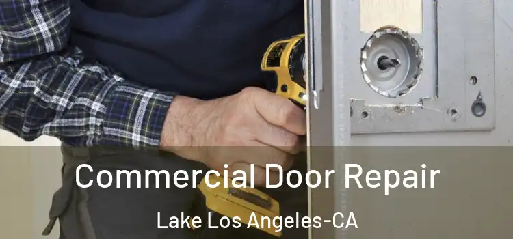 Commercial Door Repair Lake Los Angeles-CA