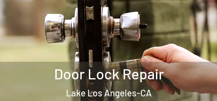  Door Lock Repair Lake Los Angeles-CA