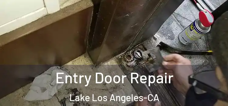  Entry Door Repair Lake Los Angeles-CA
