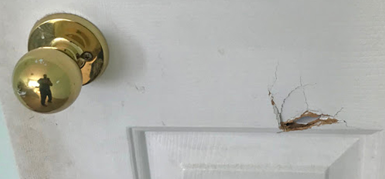 interior door hole repair Lake Los Angeles