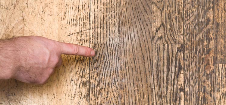 Wood Door Scratch Repair in Lake Los Angeles
