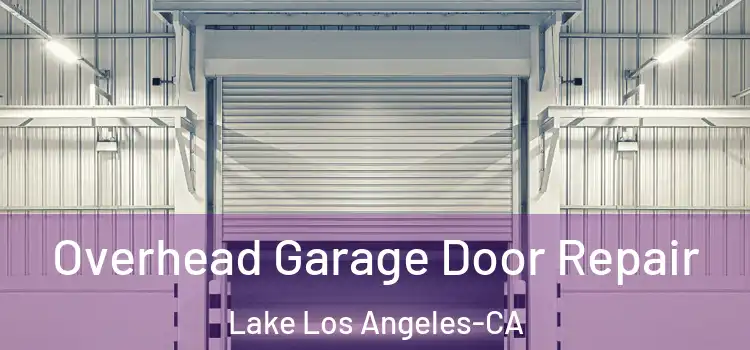  Overhead Garage Door Repair Lake Los Angeles-CA